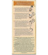 Café Soluble CARAMEL LATTE NESCAFE 8 Sobres