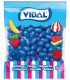 Frambuesas Melón Azul Chicle VIDAL 250 Unidades