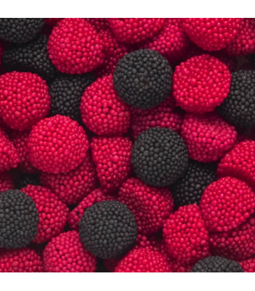 Moras Zarza  VIDAL 250 Unidades