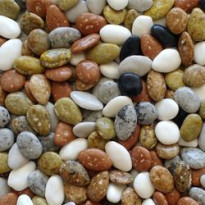 Piedras de Río Blanda 1 Kg PIFARRÉ