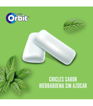 Orbit Box Gragea Hierbabuena 6 Unid
