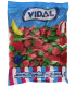 Fresas Silvestres VIDAL 1 Kg