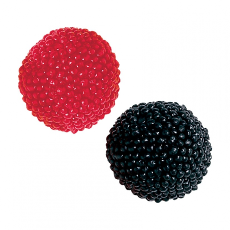 Moras Zarza  VIDAL 250 Unid