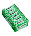 Chicle Clorofila Hierbabuena  Sin Azúcar TRIDENT 24 Unid