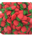 Fresas Silvestres VIDAL 1 Kg