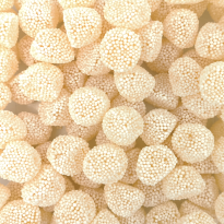 Moras Blancas Grandes 1 Kg FINI