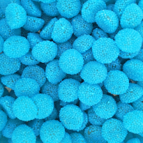 Moras Zarza Azules VIDAL 1 Kg