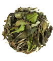 Té blanco Pai Mu Tan