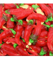 Chiles Picantes Rellenolas 65 Unid VIDAL